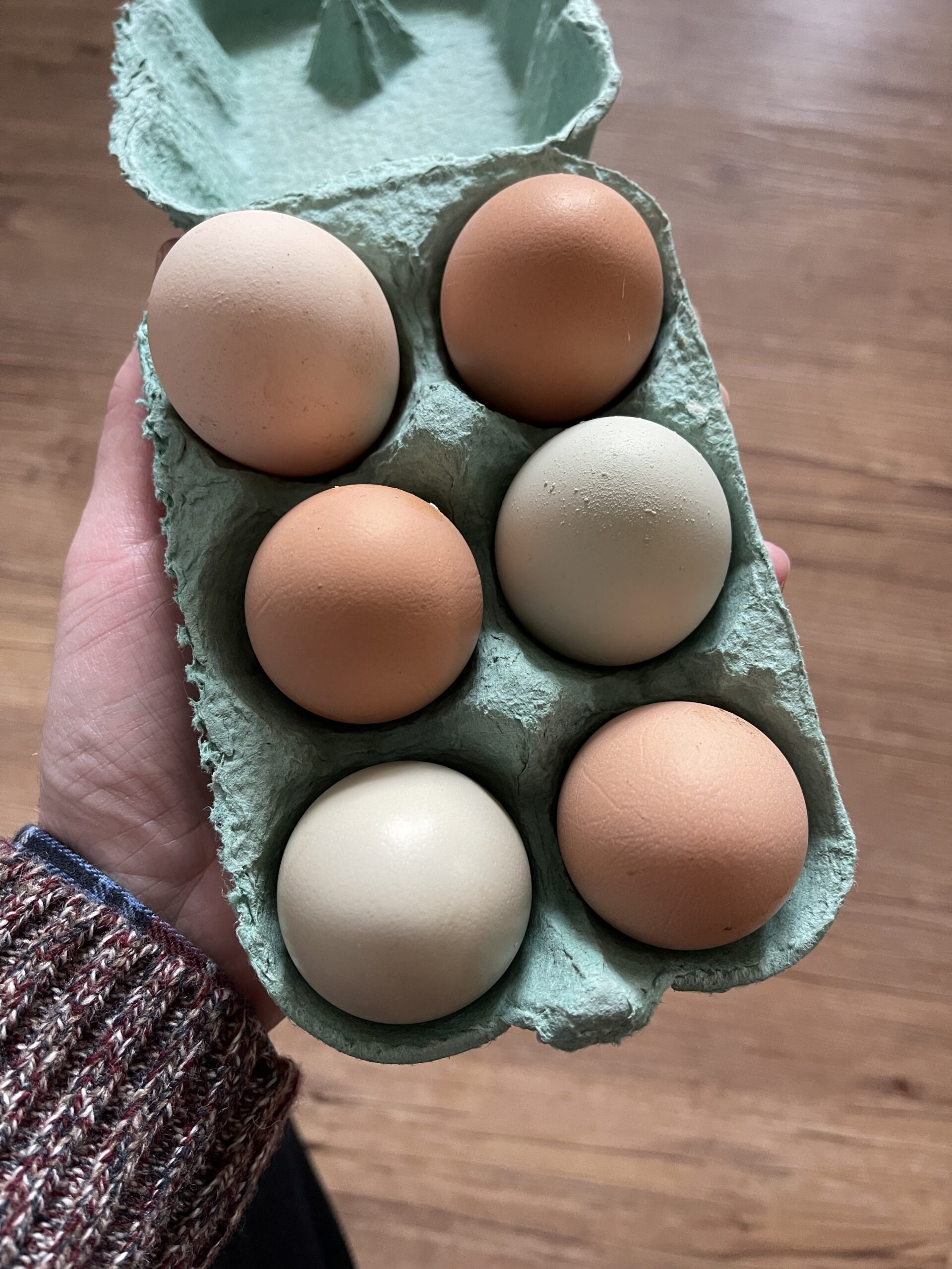 Eggs (half dozen)